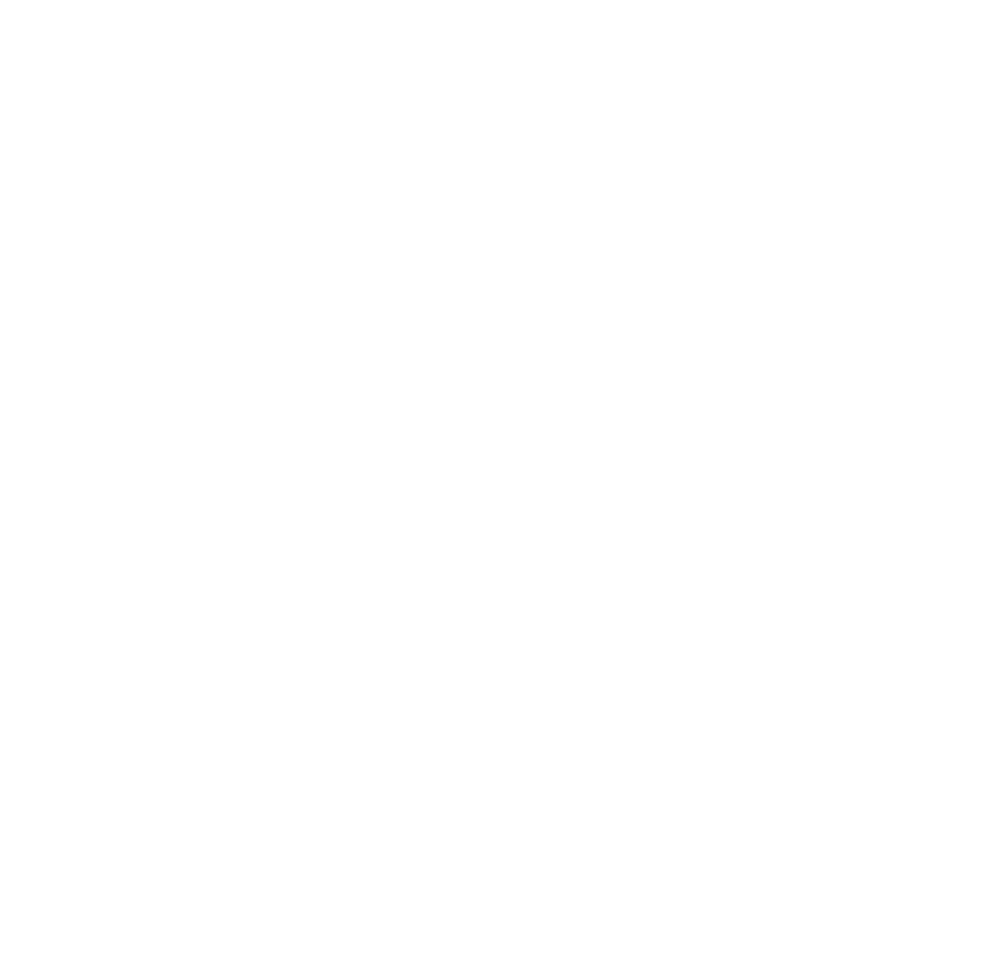 Balts Finanšu izlūkošanas dienesta logo bez fona.
